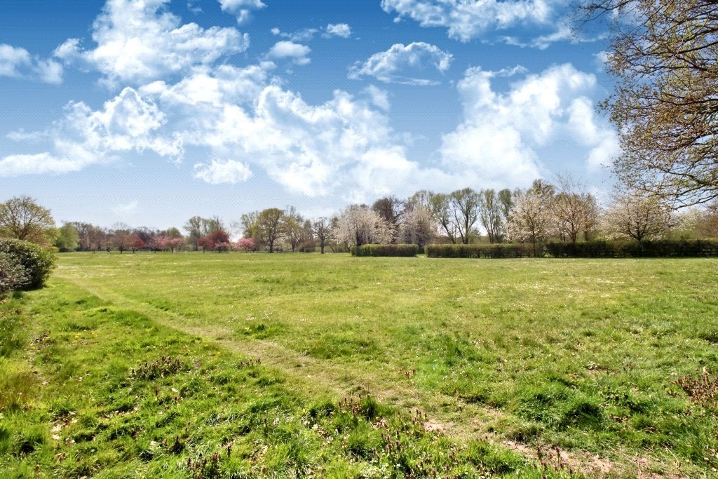 Communal Grounds
